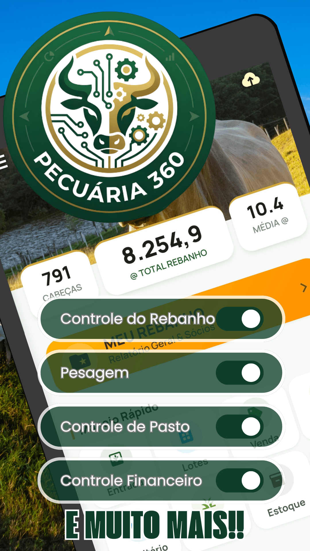 Pecuária 360