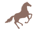 Montarias